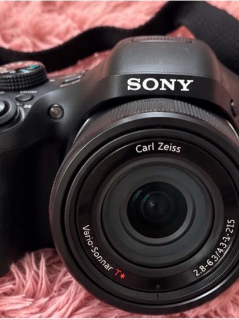 Sony Cyber-shot DSC-HX300 20.4MP 50x Zoom Camera + Bag & Charger